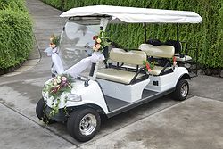 Viceroy Bali
