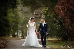 Wattle Park Chalet Weddings
