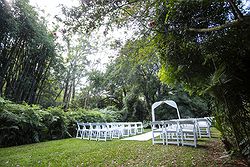 Linton Gardens