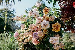 Linton Gardens