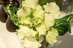 Weddings at Pastuso
