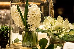 Weddings at Pastuso