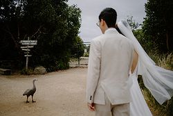 Werribee Open Range Zoo Weddings