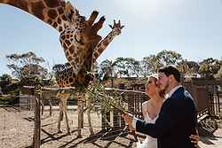 Werribee Open Range Zoo Weddings