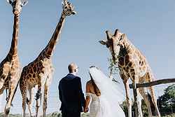 Werribee Open Range Zoo Weddings