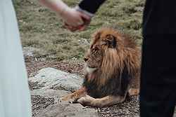 Werribee Open Range Zoo Weddings