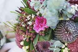 Werribee Open Range Zoo Weddings