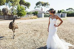 Werribee Open Range Zoo Weddings