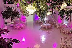 Whitestone Events