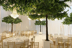 Whitestone Events