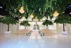 Whitestone Events