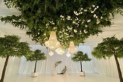 Whitestone Weddings