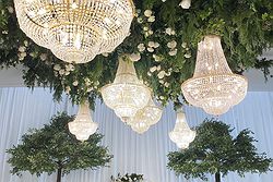 Whitestone Weddings