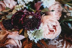 Wild Posy Co.