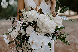 Wilderness Flowers