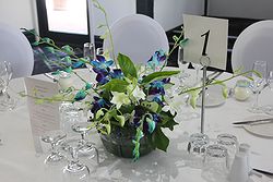 Windmill Gardens Weddings