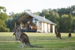 Yering Gorge Cottages by The Eastern Golf Club Weddings