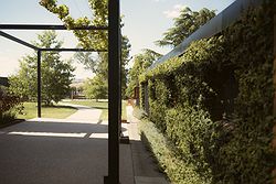 Zonzo Estate Yarra Valley Weddings